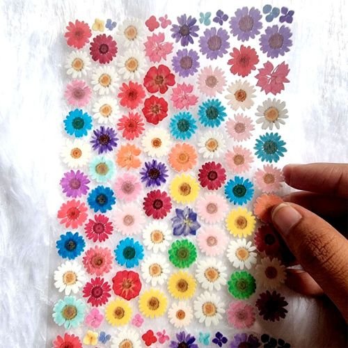 Premium Mix Daisy Flower Resin Art Sticker Sheet hover