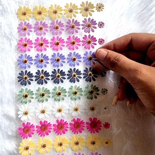 Vibrant Daisy-themed UV DTF Stickers hover