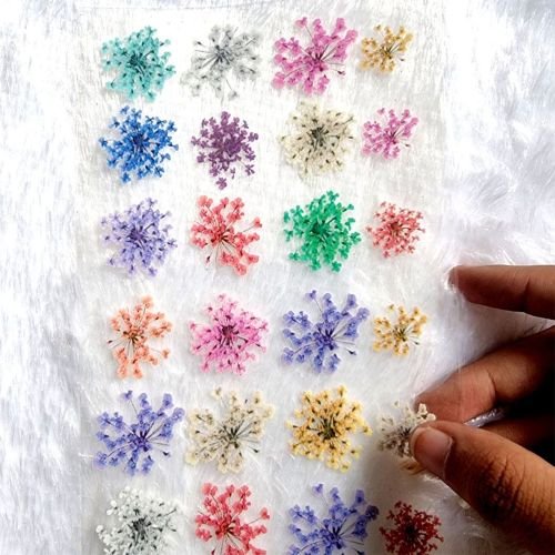 Annie's Lace Flower Transparent UV Sticker Sheet hover