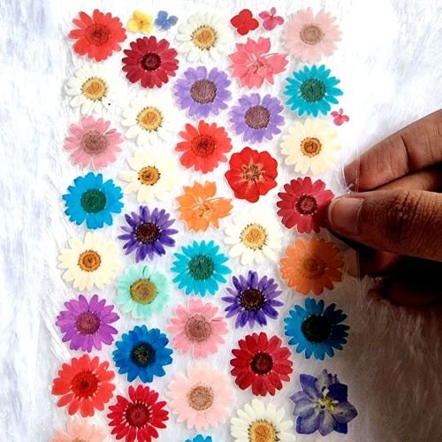 Decorative Daisy And Floral Transparent UV DTF Sticker Sheet hover