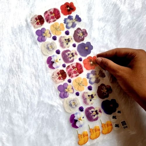Dried Pressed Pansy Flowers UV DTF Sticker Sheet