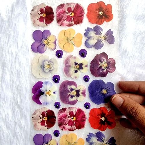 Dried Pressed Pansy Flowers UV DTF Sticker Sheet hover