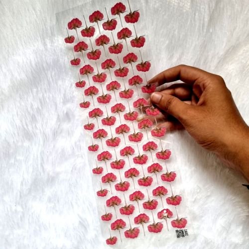 Pressed Roses Transparent Sticker Collection For Resin Art