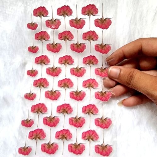 Pressed Roses Transparent Sticker Collection For Resin Art hover